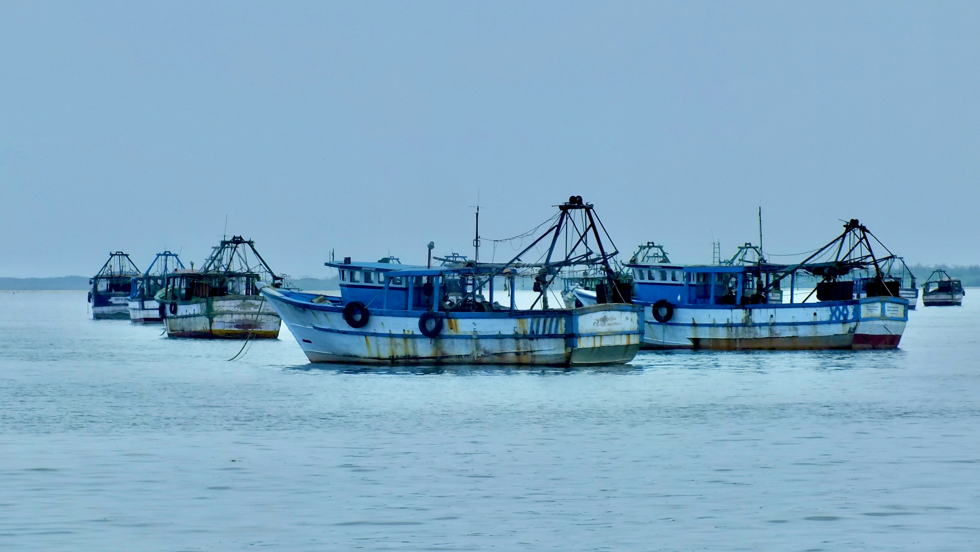 Sustainable Fisheries
